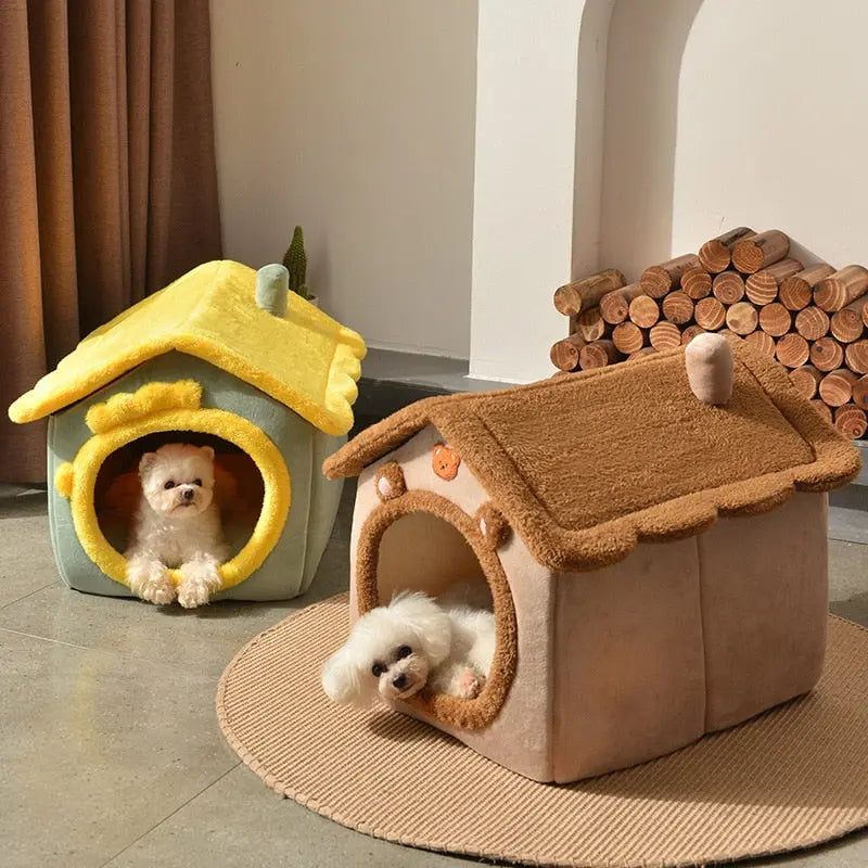 Indoor Dog House