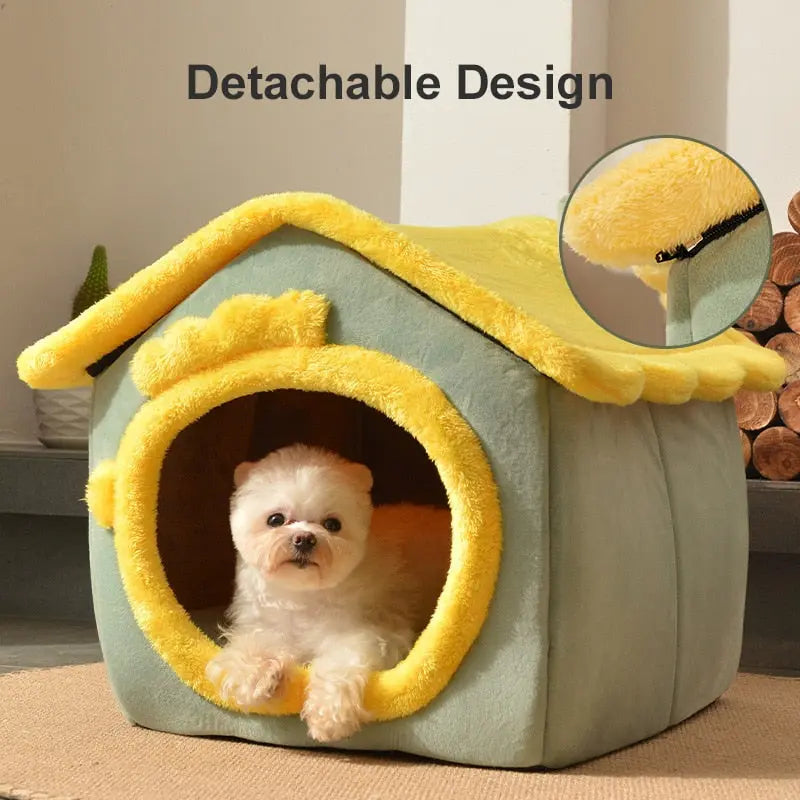 Indoor Dog House